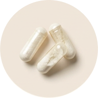 Enterococcus lactis