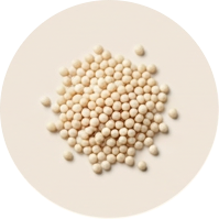 Bacillus velezensis