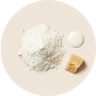 Lactobacillus helveticus