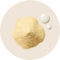 Colostro bovino