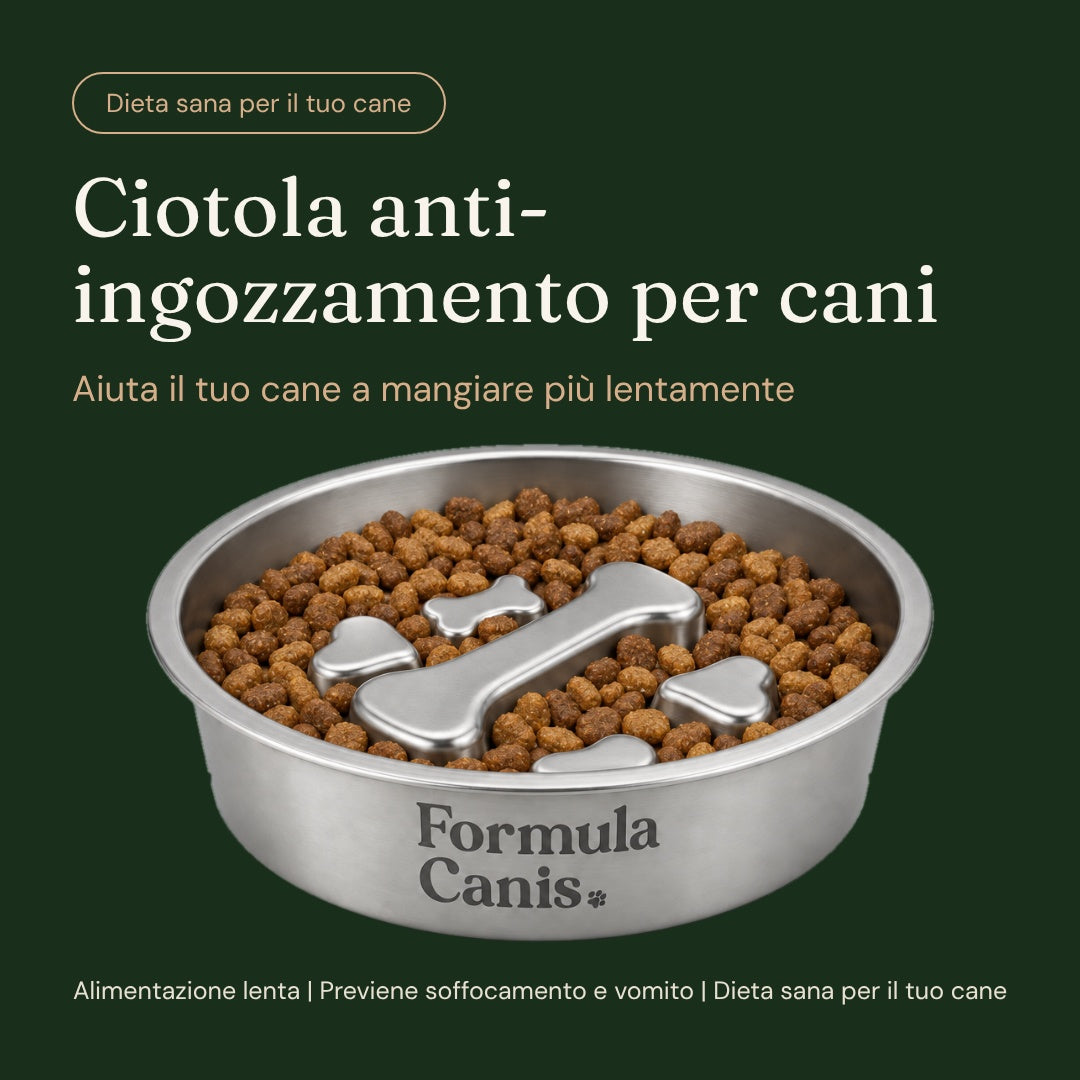 Ciotola Anti ingozzamento