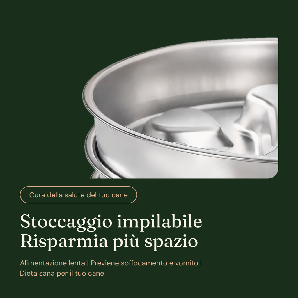 Ciotola Anti ingozzamento