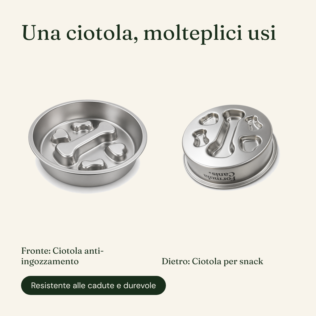 Ciotola Anti ingozzamento