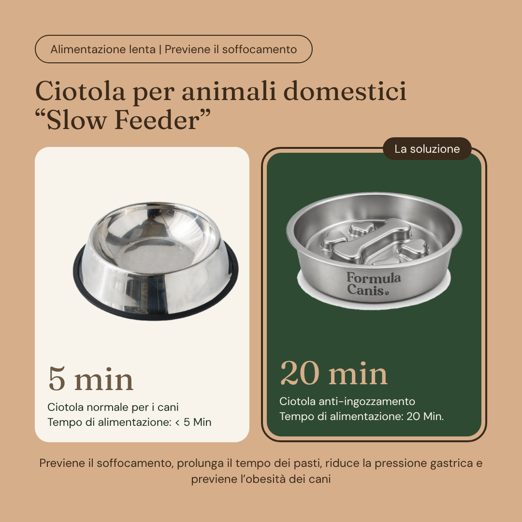 Ciotola Anti ingozzamento